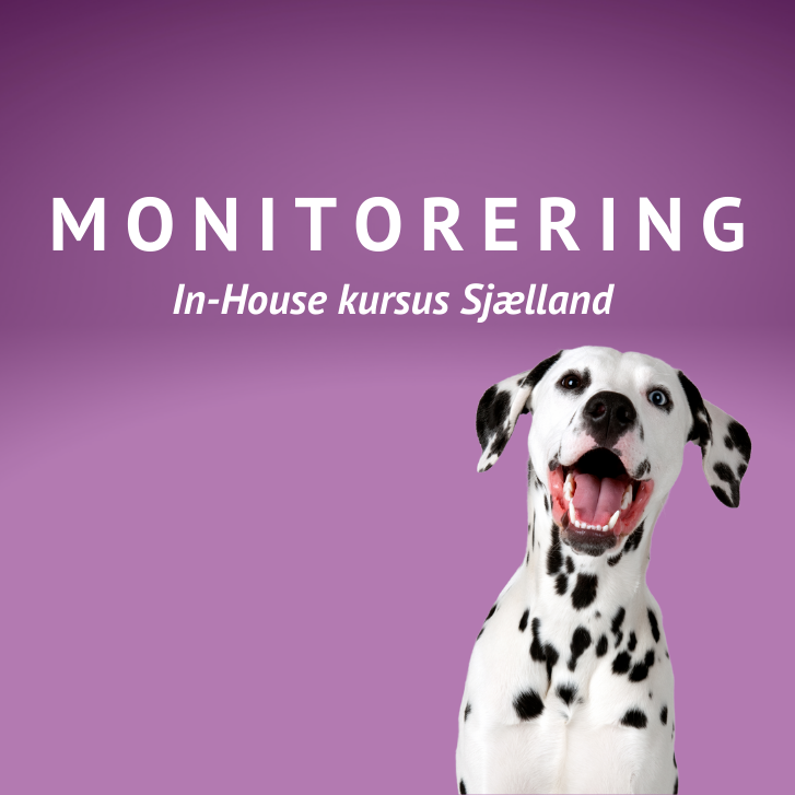 Monitorering in house kursus